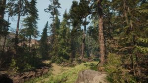 A Walk in the Woods: VR